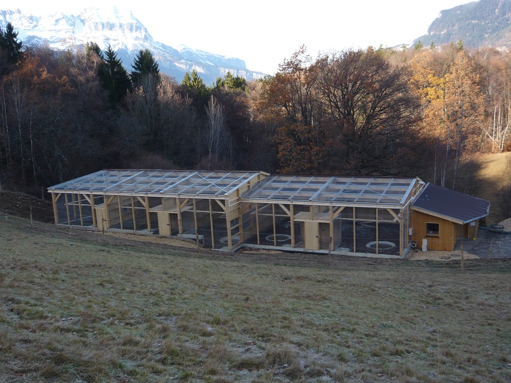 Centre d'élevage de gypaète en Haute-Savoie