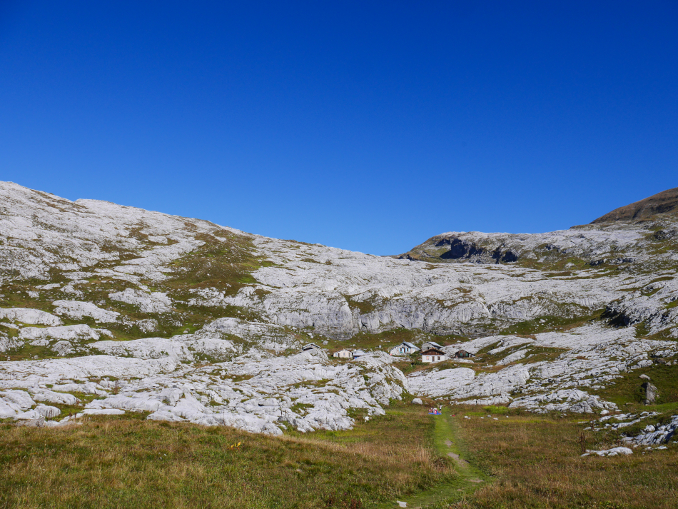 combe de Platé