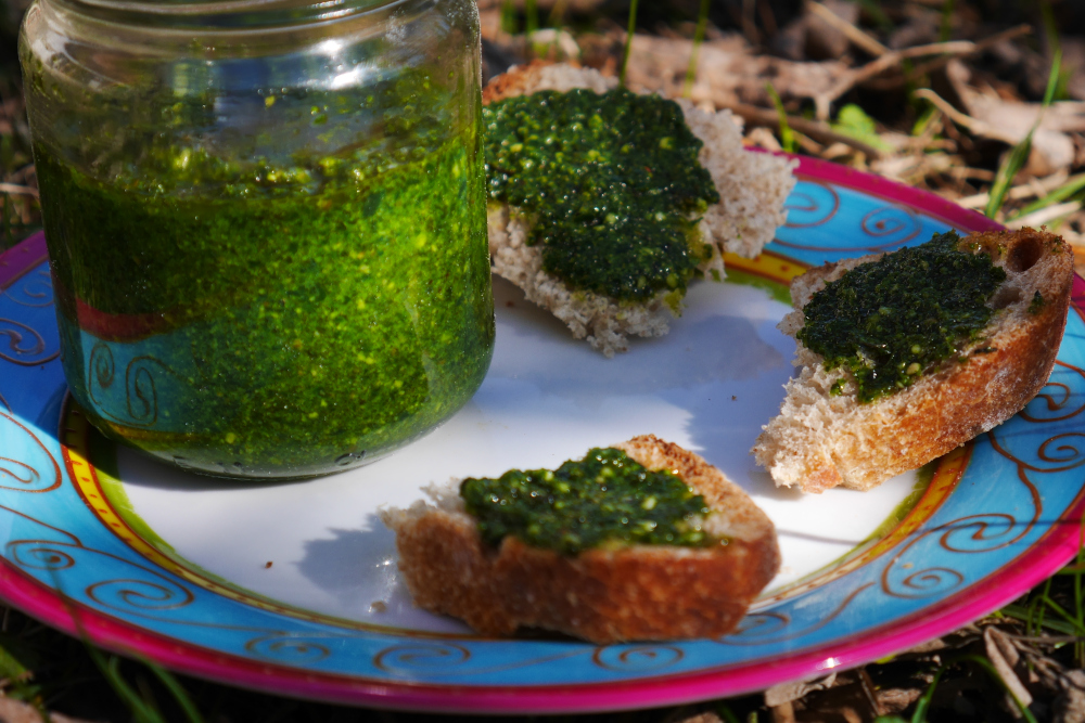 pesto ail des ours noix