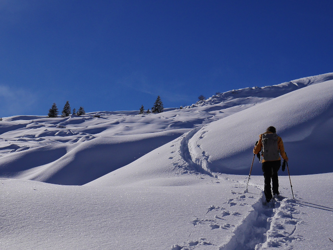 rando raquettes neige