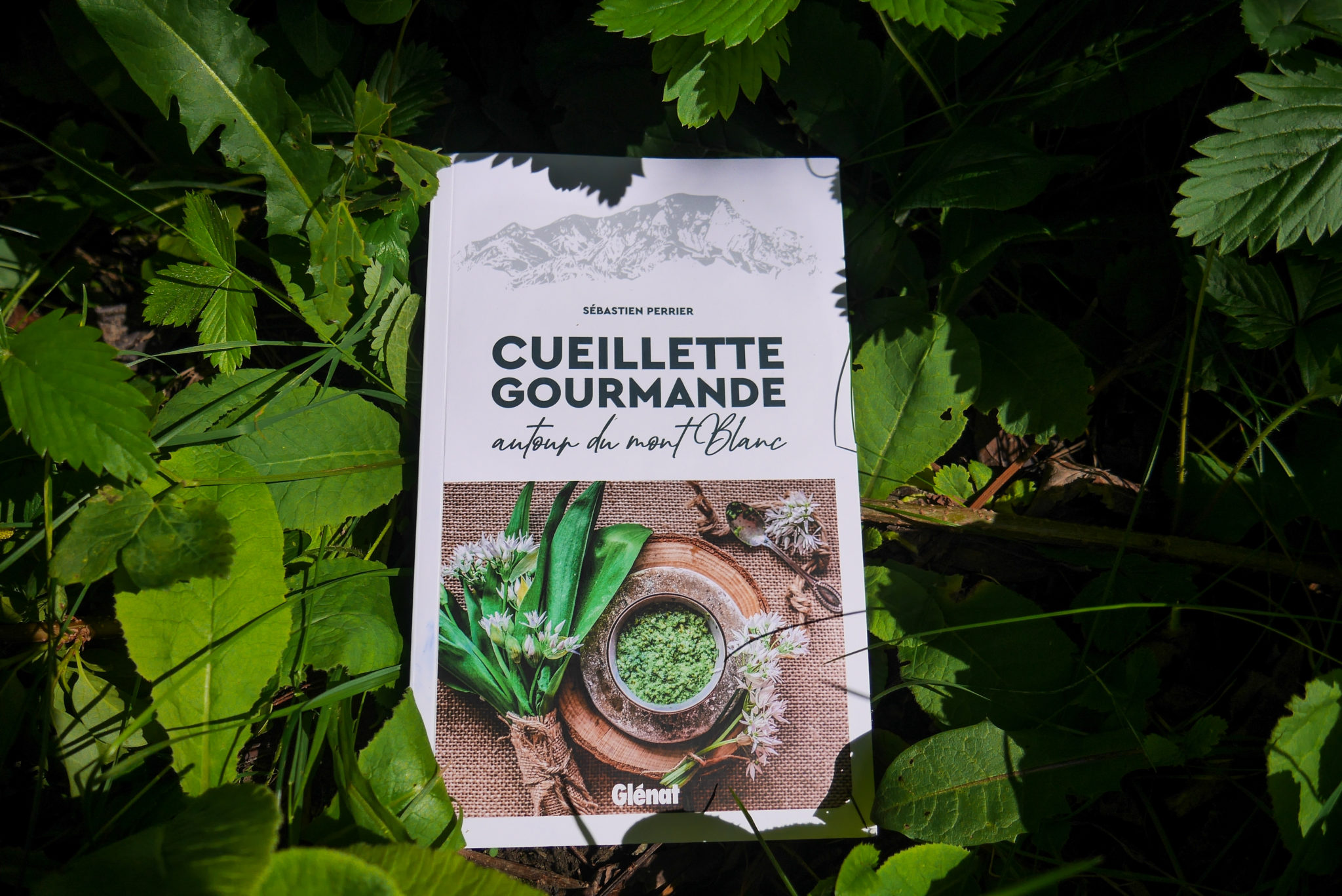 livre plantes comestibles montagne