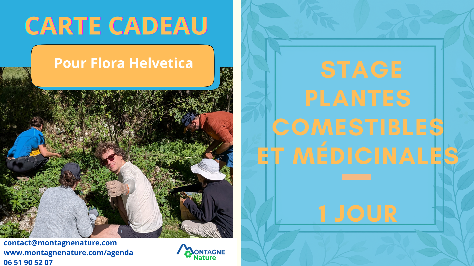 Carte cadeau stage plantes comestibles et médicinales