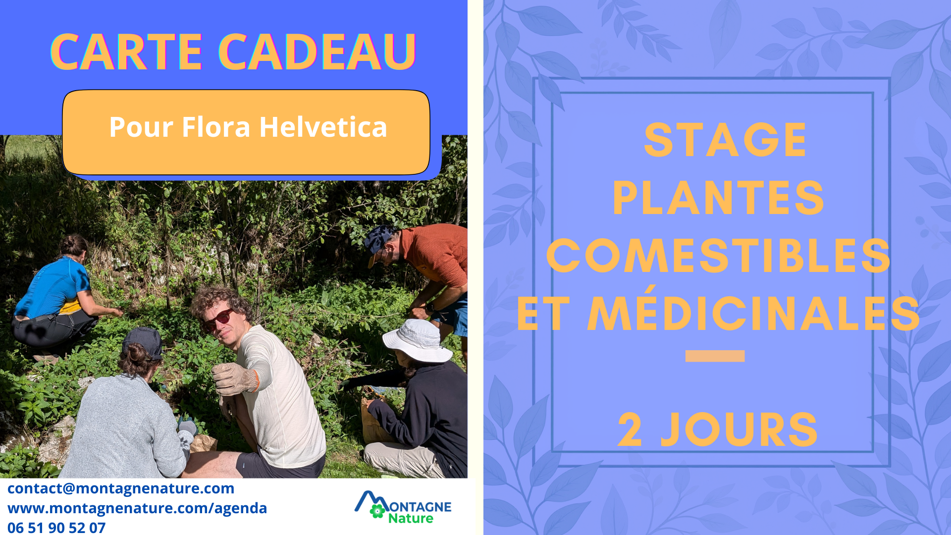 Carte cadeau stage 2 jours plantes comestibles et médicinales