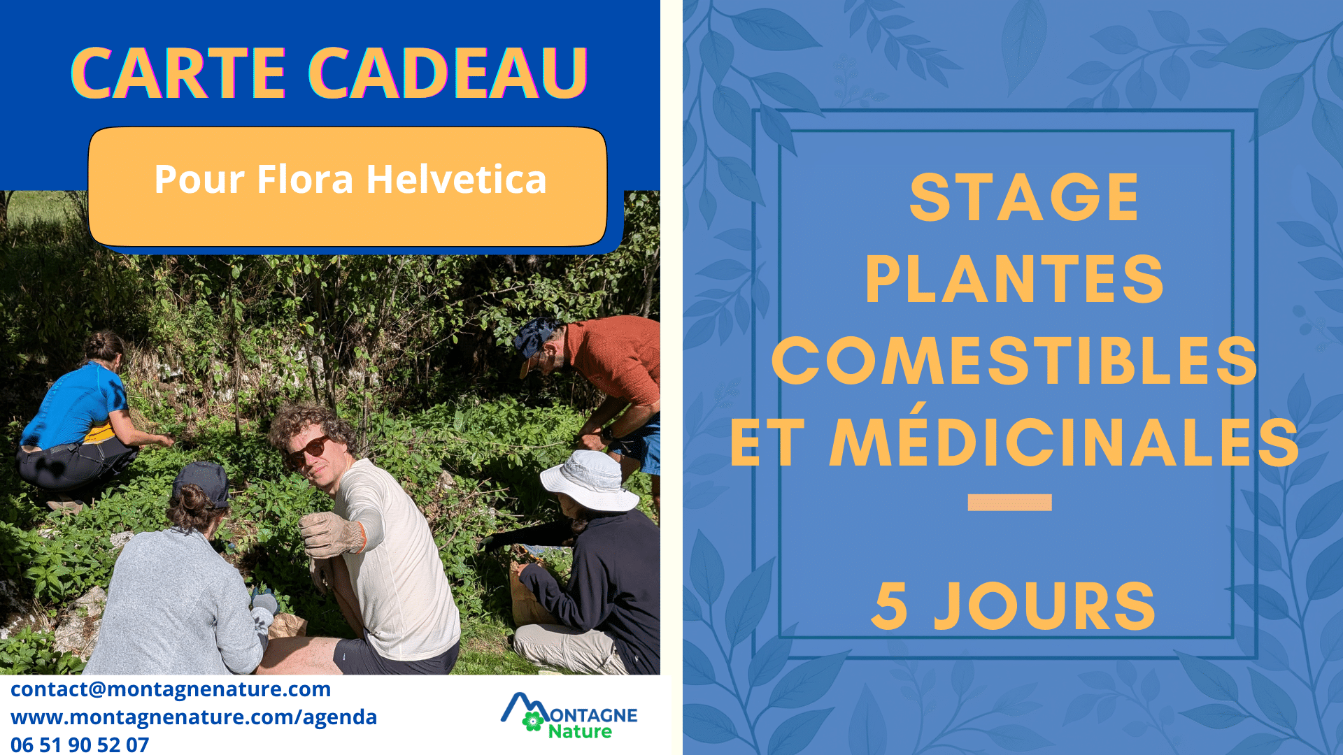Carte cadeau stage 5 jours plantes comestibles et médicinales
