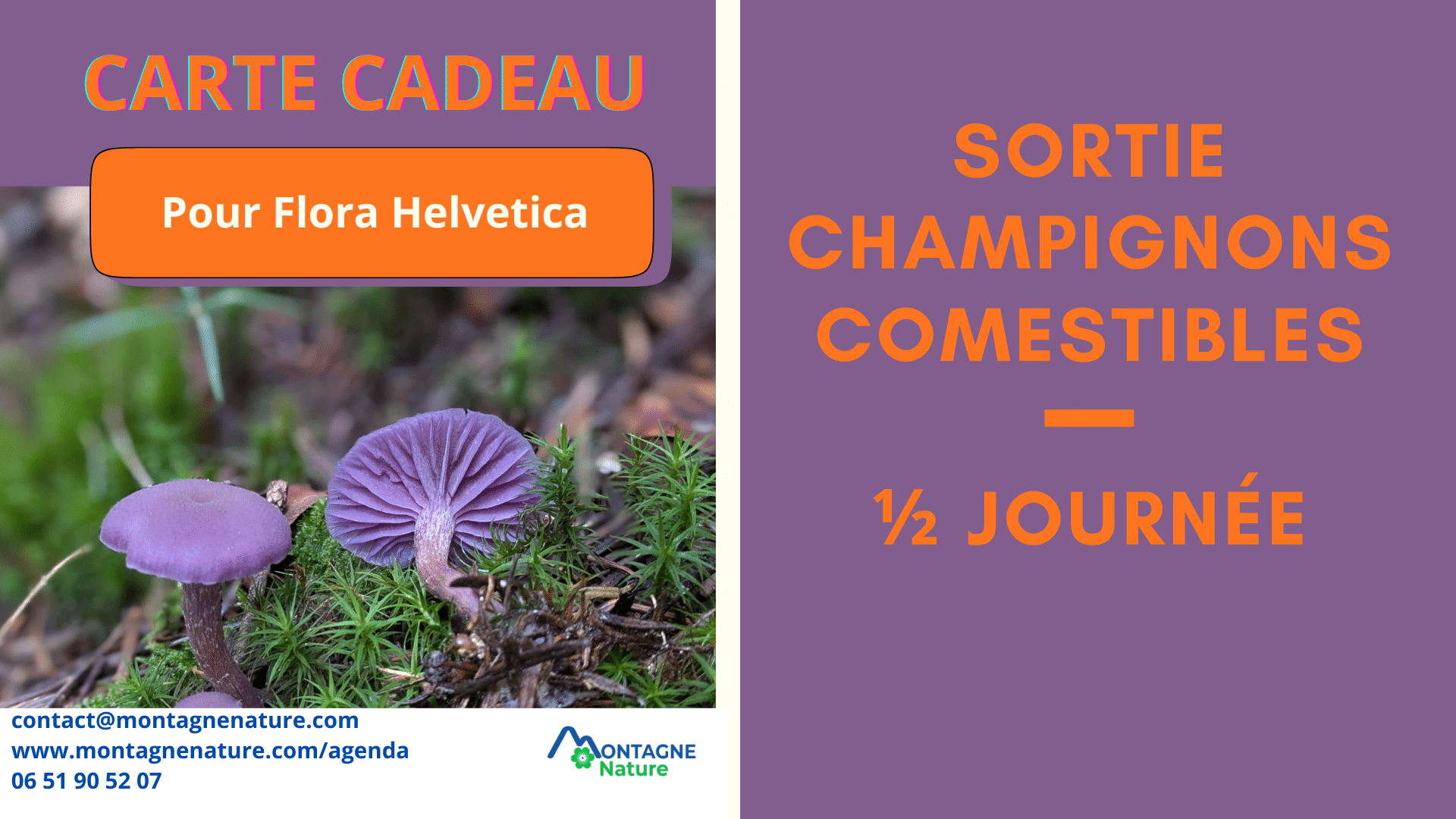 Carte cadeau demi-journée champignons comestibles