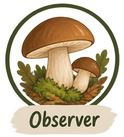 Apprendre à bien observer les champignons